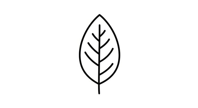 Simple black leaf icon design element.