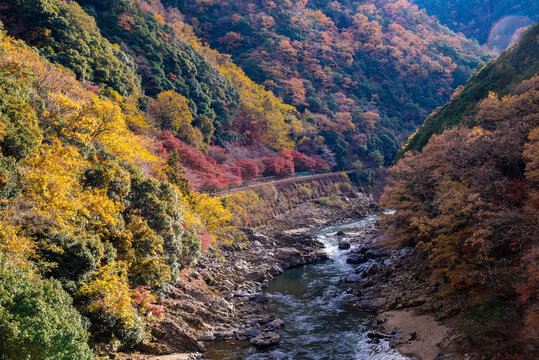 Arashiyama is a district in Kyoto City, Japan, Arashiyama is a nationally designated Historic Site and Place of Scenic Beauty.