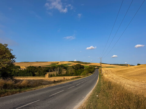 Empty rural road winding through golden wheat fields on a sunny summer day in Wissant, France