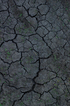 Cracked earth shows signs of drought and dry weather in a rural area