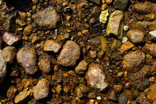 Pebbles and stones lying under clear water in a river during daytime
