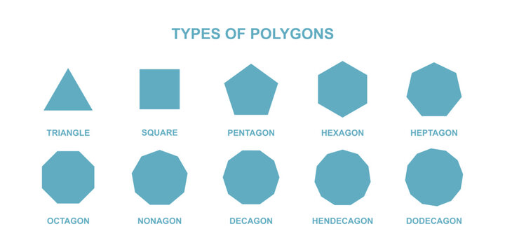 Polygon Types Reference Chart from Triangle to Dodecagon Geometry Vector Illustration