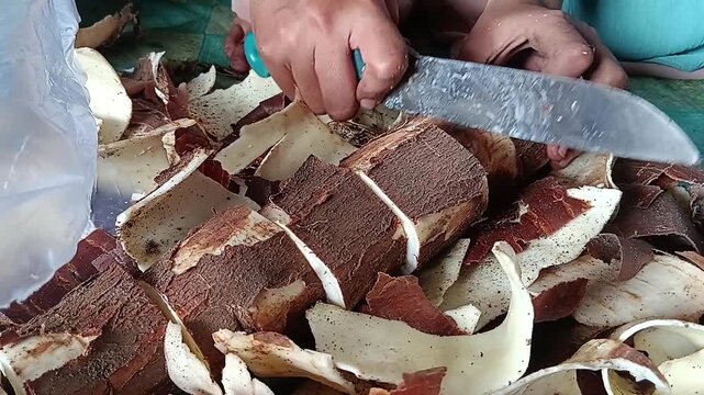 Cutting  Fresh Cassava by Hand for Food Preparation