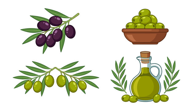 Organic Olive Oil Product Vector Set with Green and Black Olives on Branches Glass Cruet Bottle and Fruit Bowl on White Background