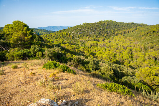 Panoramic view from the mountain pass above Mljet National Park on Mljet Island Croatia. Mediterranean forest landscape and protected nature.
