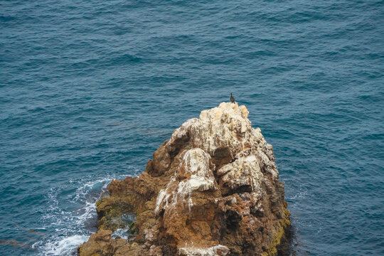 Cormorant perched on the guano-capped summit of a rugged sea stack above swirling surf off Santa Cruz Island in Channel Islands National Park