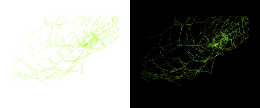 Glowing green spiderweb on black and white backgrounds, spooky halloween cobweb design elements, creepy spider web graphic assets