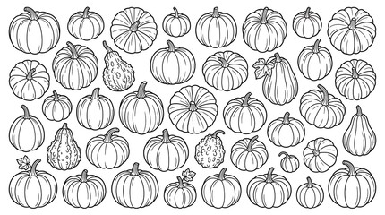 Fototapeta premium Collection of pumpkins and decorative warty gourds line art