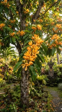Michelia champaca tree covered with bright yellow fragrant flowers growing in a lush tropical garden or forest environment