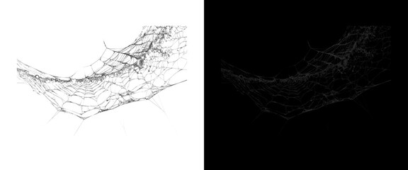 Spooky spiderweb texture overlay, creepy cobweb design elements on white and black backgrounds, halloween graphic assets © shamima