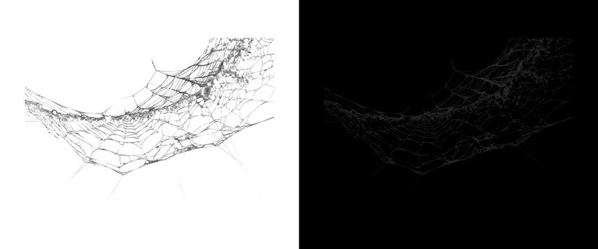 Spooky spiderweb texture overlay, creepy cobweb design elements on white and black backgrounds, halloween graphic assets