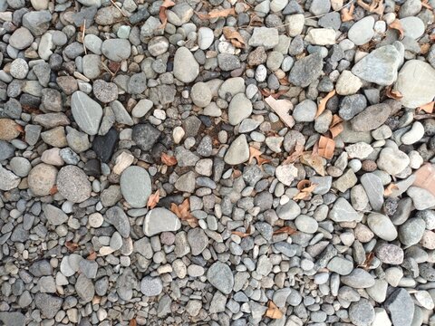 pebbles on the beach
Natural Pebble and Gravel Stone Texture Background