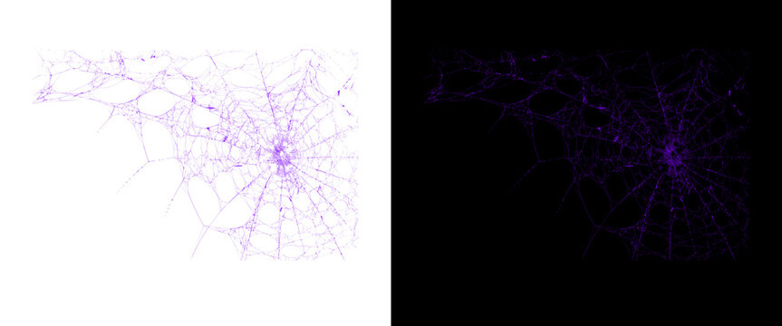 Purple spiderweb graphic elements, spooky spider web on white and black backgrounds, Halloween design assets