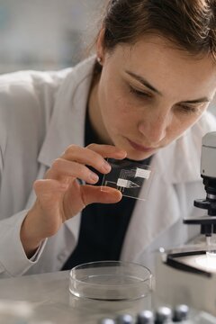 Female Scientist Holding Microfluidic Chip for Biomedical Research Photo