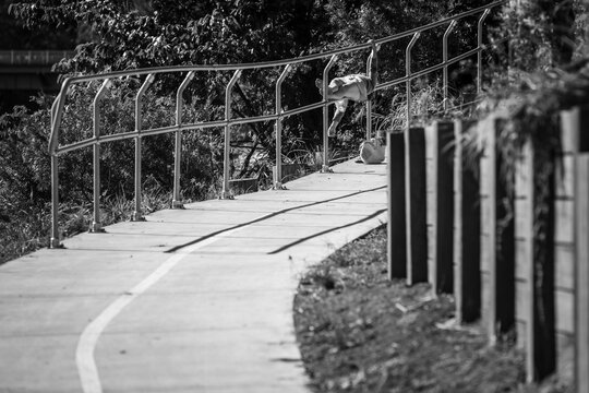 A person lays on a railing on a winding pathway, embodying freedom and creativity in a natural outdoor setting - horizontal