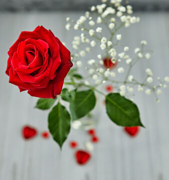 Romantic still life, red rose, chocolate in the shape of hearts on a light background. Valentine's day concept. Soft focus