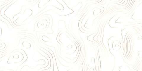 Elegant golden geometric topographic line pattern canvas. © Vector man