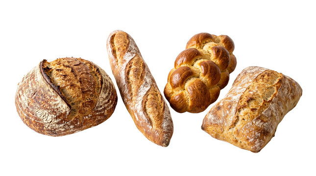 Braid challah and round artisan breads for bakery shop decor.