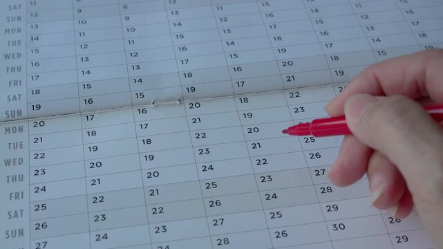 Close up of person going through calendar planner with a red marker pen. Appointments or meeting schedule concept.