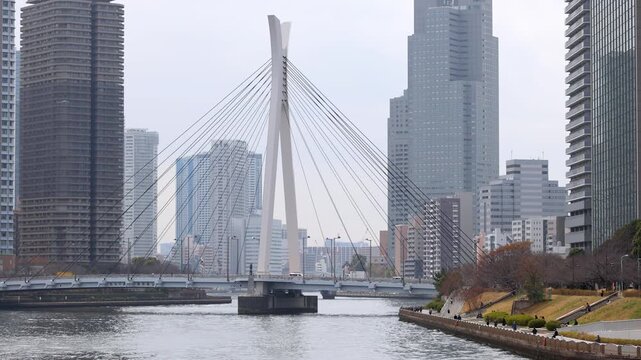 Chuo Ohashi Bridge and Skyscrapers Over Sumida River in Tokyo