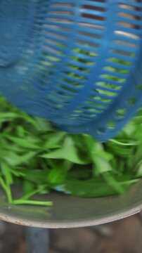Cooking stir-fried morning glory with Chu Hou sauce. Sauteing minced garlic and fresh water spinach with rich Chu Hou soybean paste sauce, tossing over high heat in a smoking hot wok.