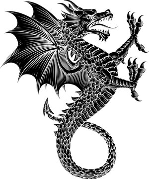 A heraldry coat of arms crest style heraldic wyvern dragon in a vintage woodcut style