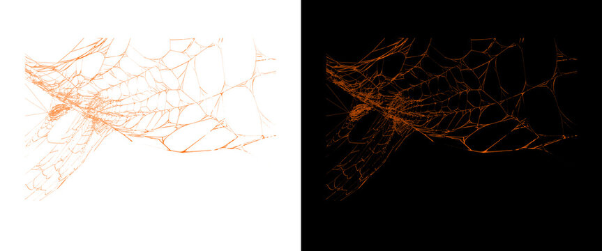 Abstract root system network, orange plant roots on white and black background, organic mycelium structure