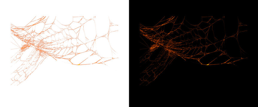 Abstract mycelium network texture, organic root structure on white and black background, biological neural web pattern