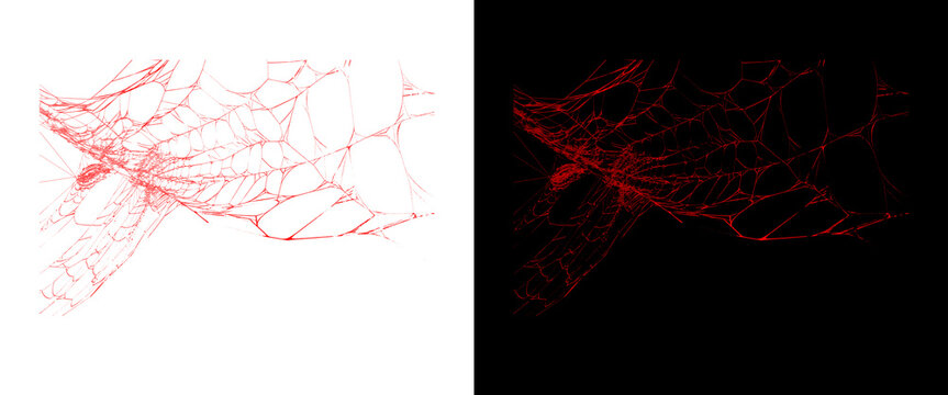 Abstract red blood vessels on white and black backgrounds, microscopic human capillary network, medical science illustration