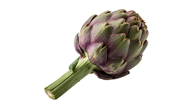 Fresh raw green artichoke vegetable on stem isolated on transparent background