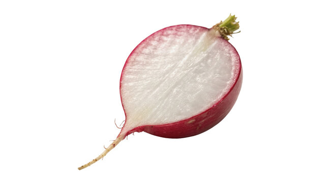 Fresh organic round red radish root crop with stem isolated on transparent background