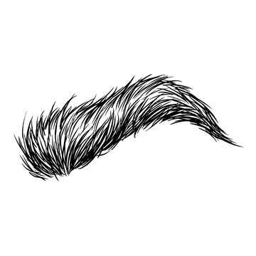 Hand drawn sketch of one beastly thick eyebrow isolated on white background. Line art illustration.