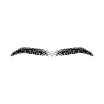 Hand drawn sketch of one continuous flat horizontal monobrow isolated on white.