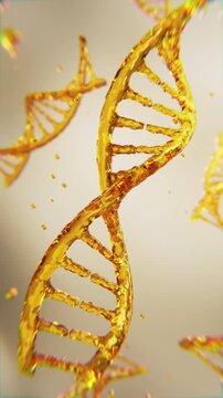 3D vertical animation of glowing golden DNA helices floating in a clean scientific environment, representing genetics, biotechnology, molecular biology, medical research, and innovation.