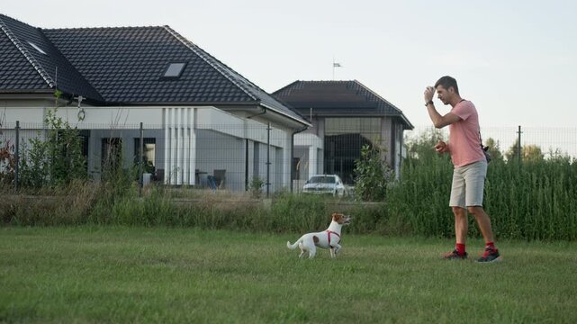 Man training Jack Russell terrier with a ball outdoors