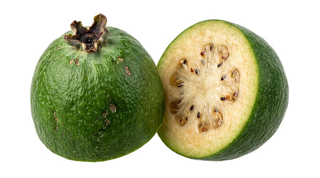 Fresh Feijoa Fruit Whole and Cut in Half Isolated on White Background

Raw Organic Guava steen Pineapple Guava with Pulp and Seeds Studio Shot

Sliced Green Feijoa Sellowiana Fruit Cross Section