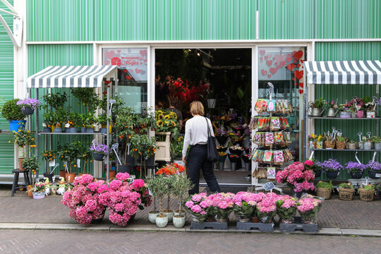 Meijer Flower Shop with Colorful Outdoor Plant Display in Zaandam, Netherlands