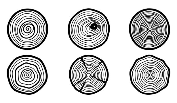 Hand drawn tree ring wood slice vector set with organic circular growth patterns