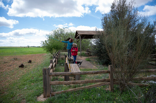 Two middle aged women enjoying a countryside hike as one points toward the landscape with a walking pole while their small dog explores nearby