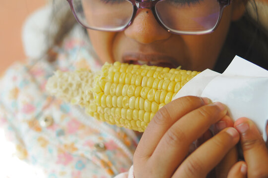 Girl eats corn on the cob while holding it in her hands