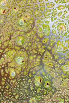 Abstract aerial pattern of algae pools in altiplano wetlands, Sud L&iacute;pez, Potos&iacute;, Bolivia