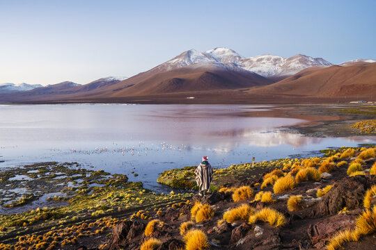 Person at an altiplano lagoon reflecting a volcano at dawn, Laguna Colorada, Sud L&iacute;pez, Potos&iacute;, Bolivia