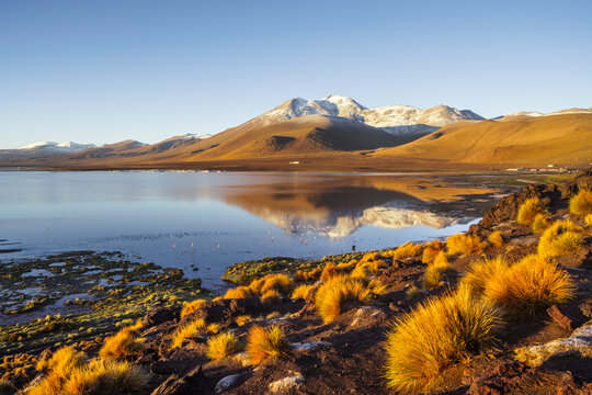 Volcano reflected in a calm altiplano lagoon at sunrise, Laguna Colorada, Sud L&iacute;pez, Potos&iacute;, Bolivia