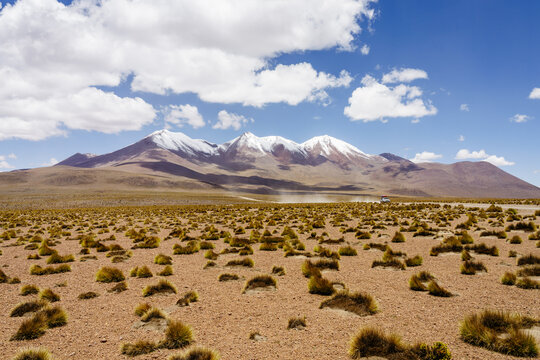 Altiplano scrubland below colorful mineral mountains, Sud L&iacute;pez, Potos&iacute;, Bolivia