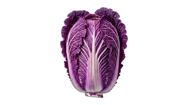 Detailed cross section illustration of a human brain anatomy in purple tones.