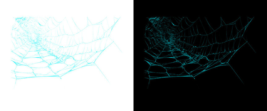 Glowing cyan spiderweb on black and white backgrounds, spooky neon cobweb design elements, creepy Halloween graphic assets
