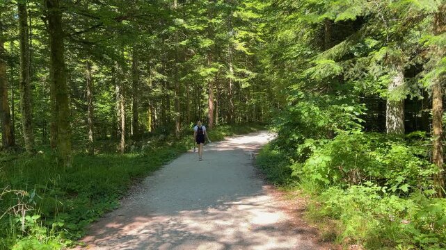 A woman with a backpack and a small dog walk away on a gravel forest road toward Banjska Stena viewpoint, surrounded by dense trees on Tara Mountain in Serbia.
