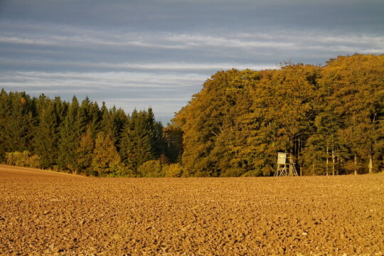 Acker mit Hochsitz an einem Wanldrand