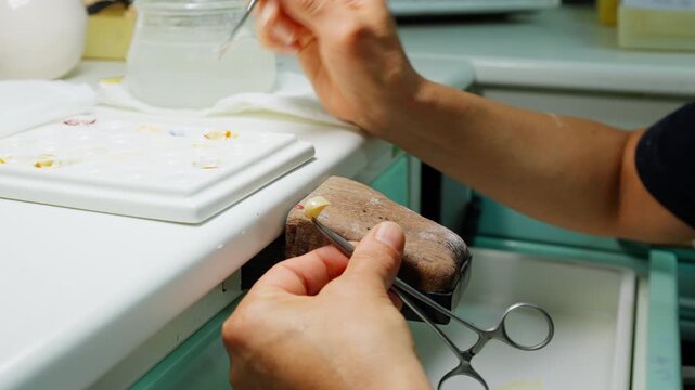 Hands of a dentist painting a dental prosthesis in a clinical laboratory setting