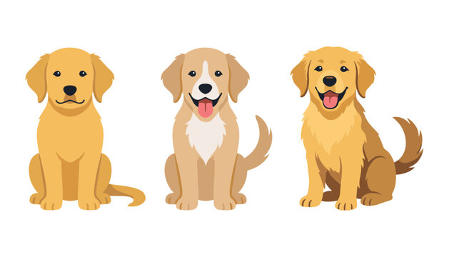 Cute Golden Retriever Puppy Character Vector Set with Happy Smiling Dogs Sitting in Front View for Pet Shop, Veterinary Care, and Animal Theme Graphics